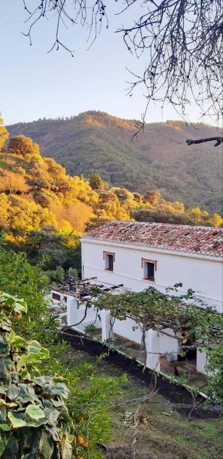 Finca Riolavar Jubrique Exterior foto