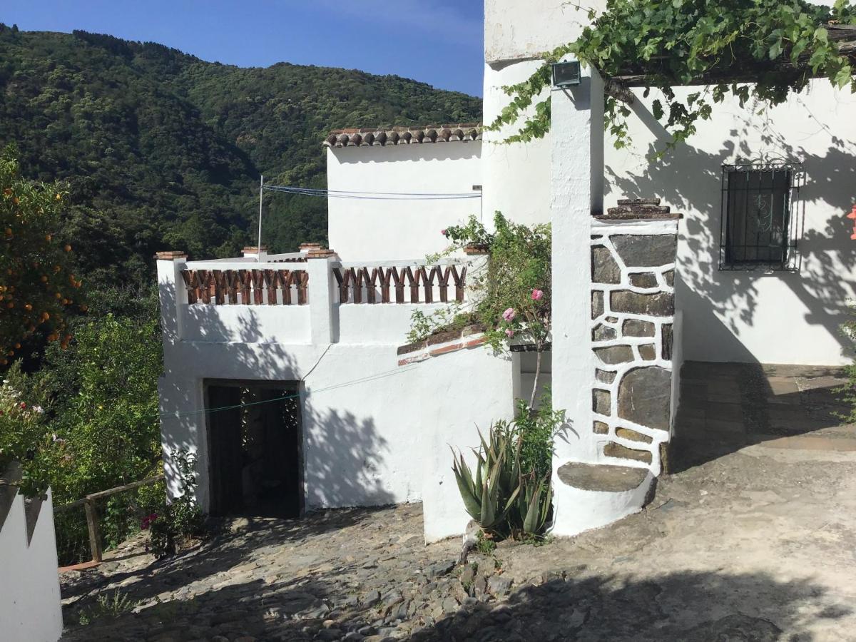 Finca Riolavar Jubrique Exterior foto